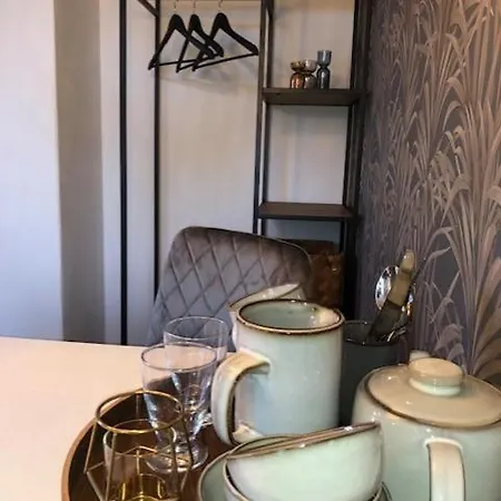 Flot Vaerelse Taet Ved Transport I En Skon Apartment